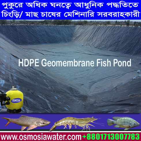 High Density Modern Fish Farming Project Geomembrane Pond Set Up Companies in Bangladesh