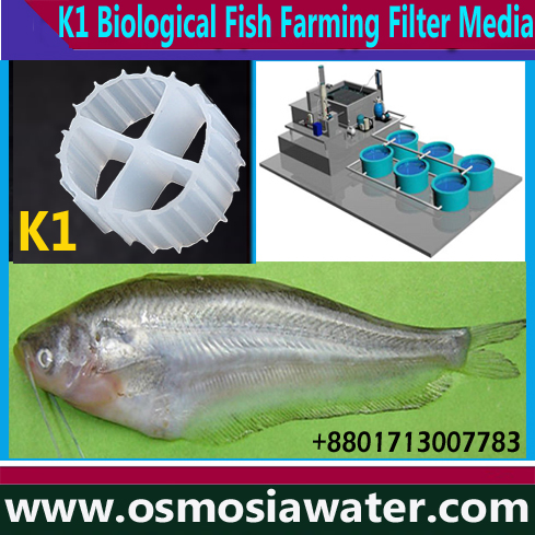 K1 Micro Filter Media Supplier Company in Bangladesh, K1 Micro Biological Filtration Media Supplier Company in Bangladesh