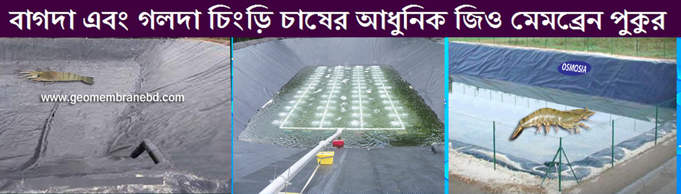 Vannamei Aquaculture Equipment at Low Price in Dhaka Bangladesh