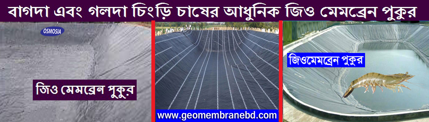 Aquaculture HDPE Pond Liner Price in Dhaka Bangladesh, Vannamei Aquaculture HDPE Pond Liner Price in Dhaka Bangladesh